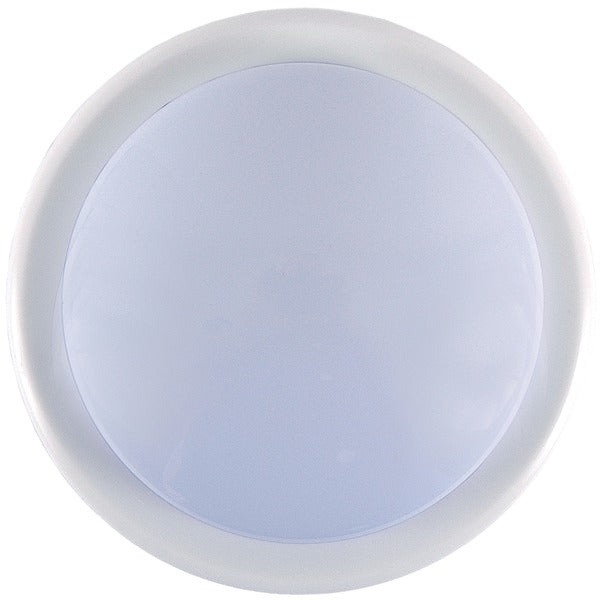 Lighting & Lighting Accessories