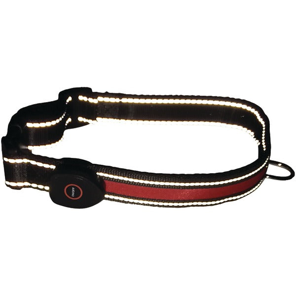 Royal Animals 104058L LED Dog Collar (Large)